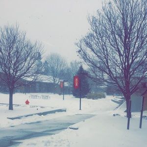 Meet your Posher, Tina